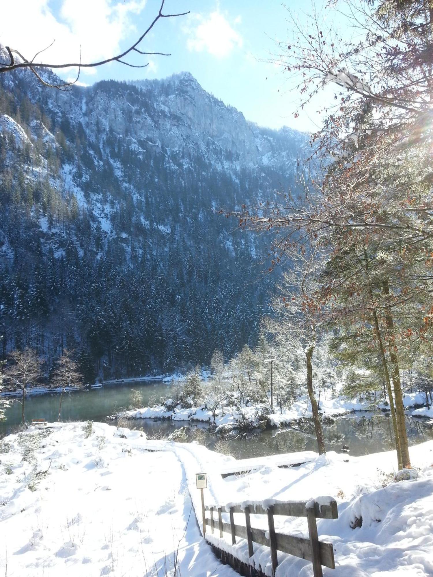 Gaestehaus Inzeller Hof Bagian luar foto